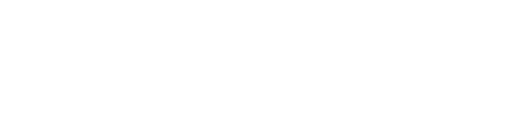 Barneys Newyork Logo White